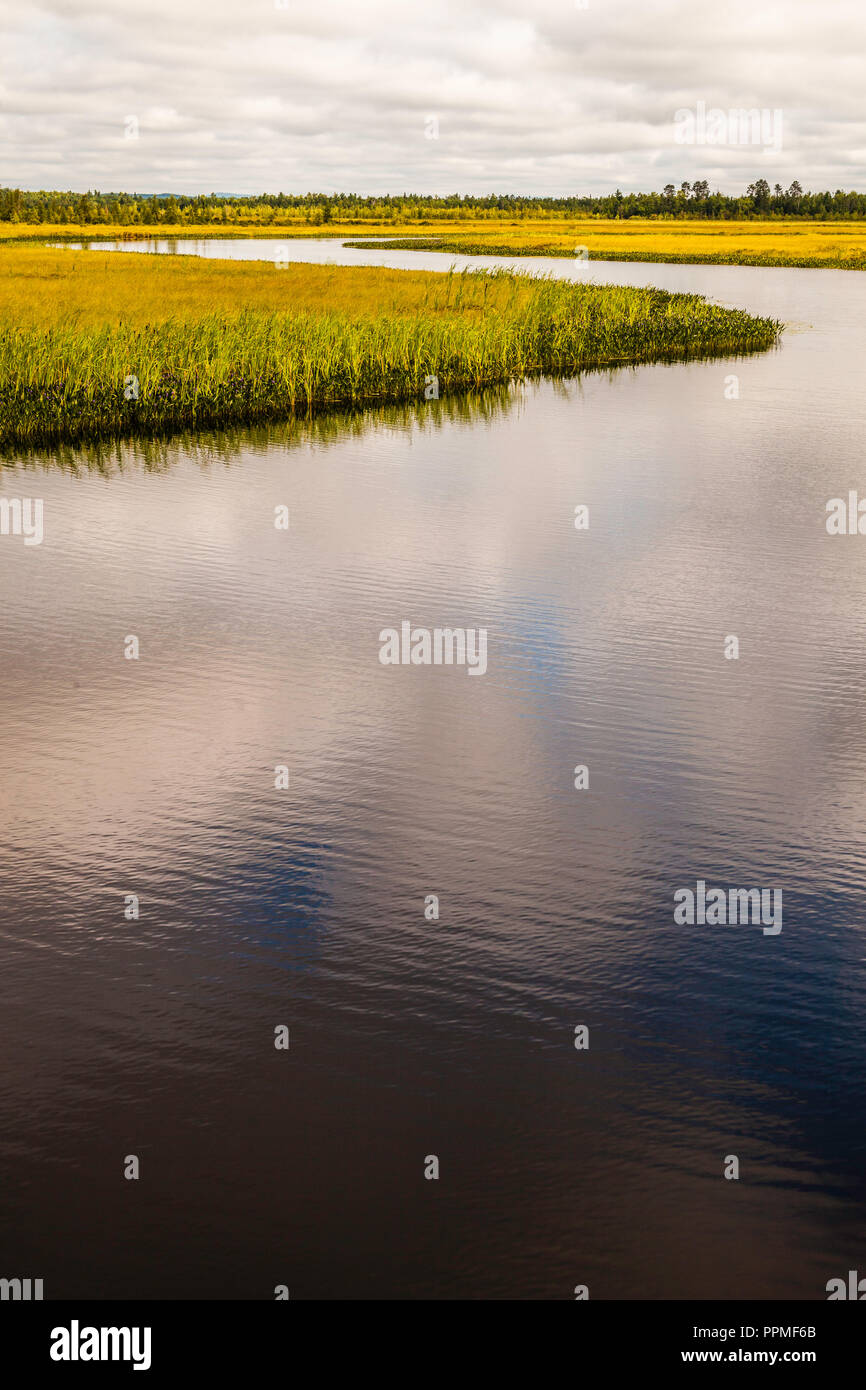 Stream und Marsh Grand Lake Stream, Maine, USA Stockfoto