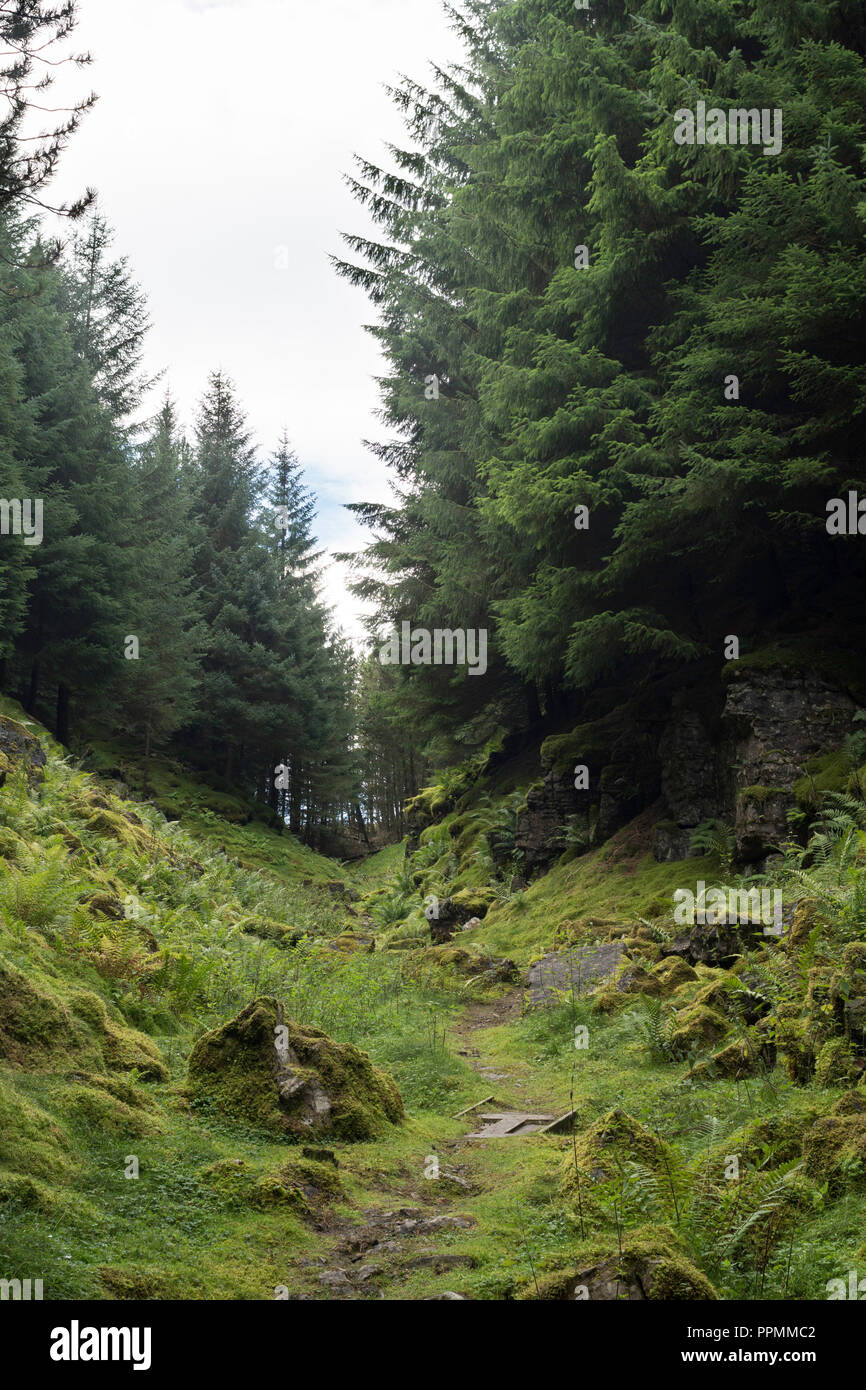 Hazely Hush, ein Mann aus Tal reinigte Bleierz zu offenbaren, KIllhope Mine Museum, Cowshill, County Durham, England, Großbritannien Stockfoto