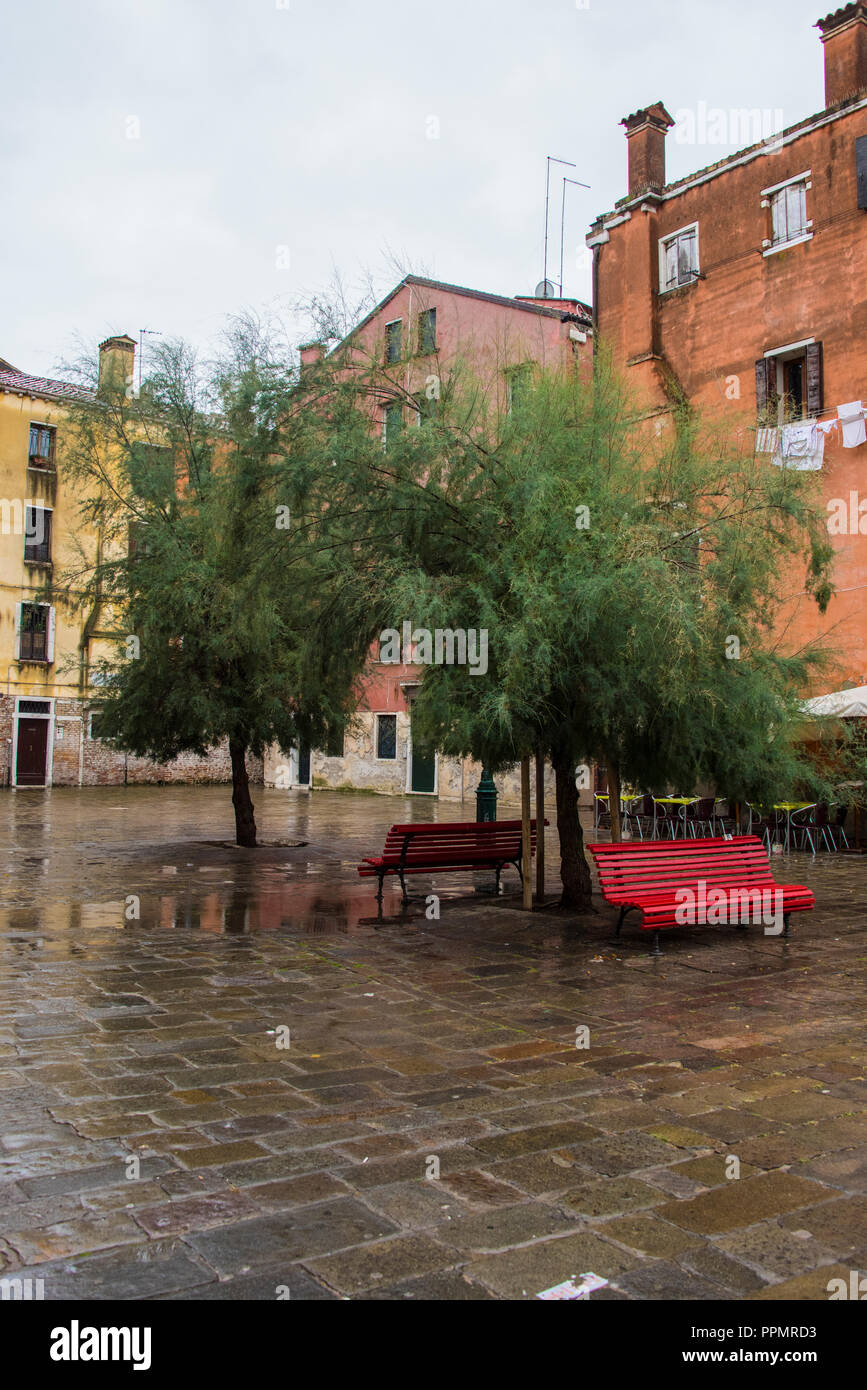 Leuchtend rote Sitzbänke unter einer Weide in Campo Nazario Sauro, Santa Croce, Venedig Stockfoto