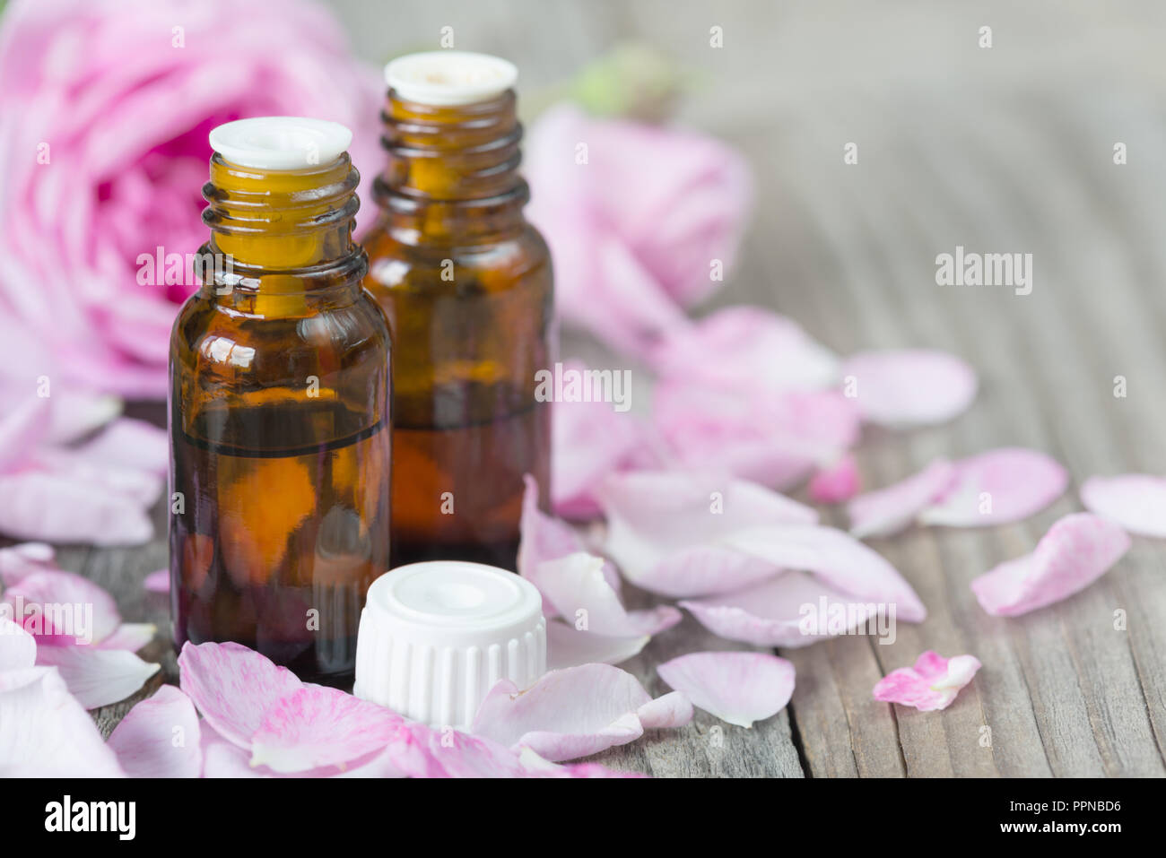 Zwei dunkle Durchstechflaschen mit Rose ätherisches Öl und Rosen auf einem hölzernen Hintergrund mit copy-Raum Stockfoto