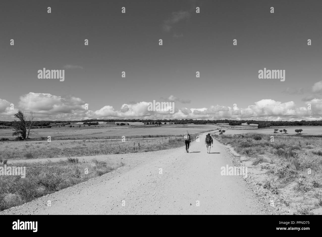 Camino de Santiago (Spanien) - einige Pilger wandern auf dem Jakobsweg, in der Spanischen meseta Stockfoto