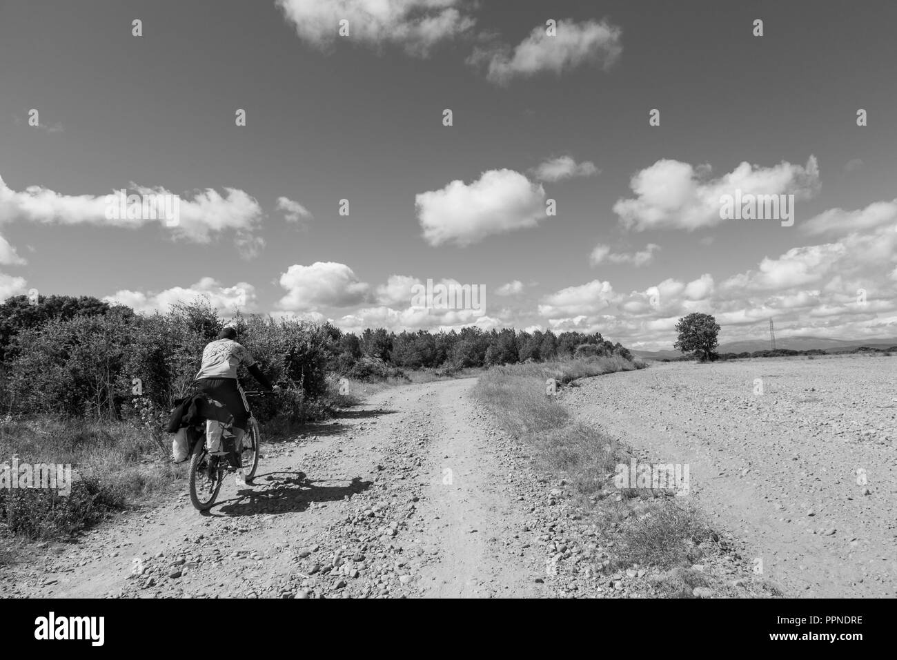 Camino de Santiago (Spanien) - ein Pilger in Fahrrad entlang dem Jakobsweg, in der Spanischen meseta Stockfoto