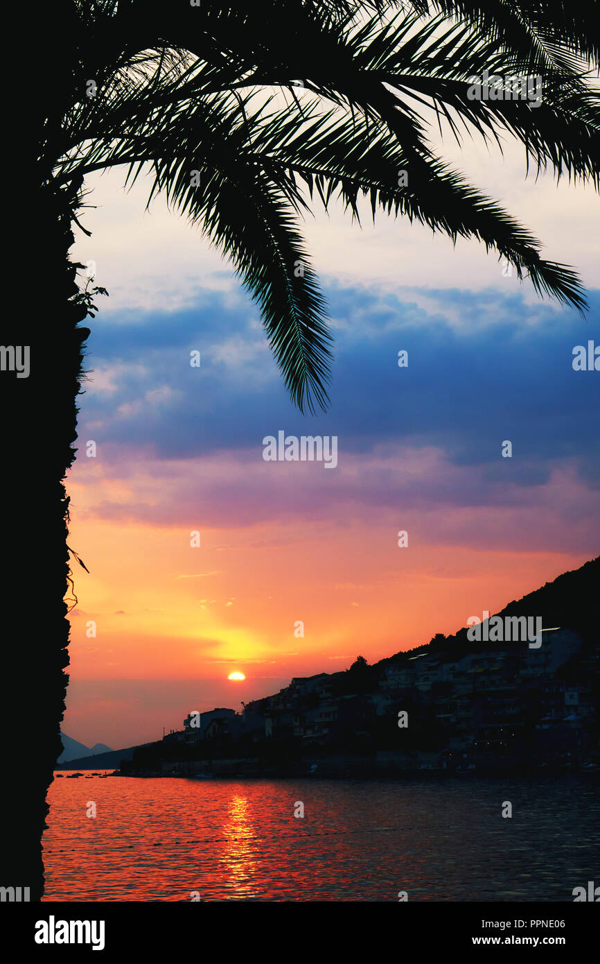 Palm Tree Silhouette am Strand bei Sonnenuntergang Stockfoto