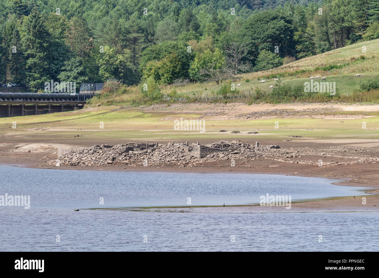 Ladybower Reservoir in der oberen Derwent Valley im Peak District National Park. Stockfoto