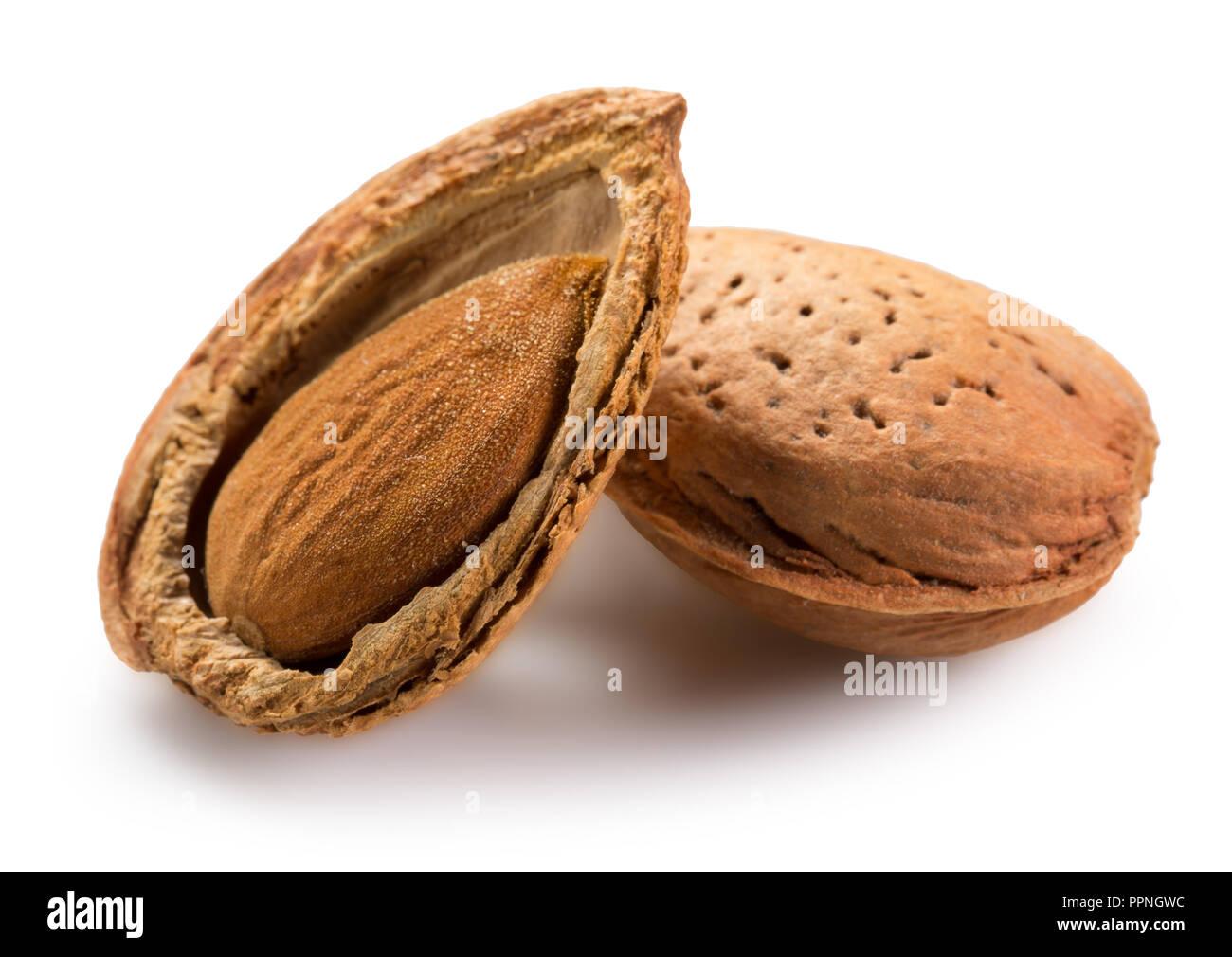 Mandeln isoliert auf einem weißen Hintergrund. Stockfoto