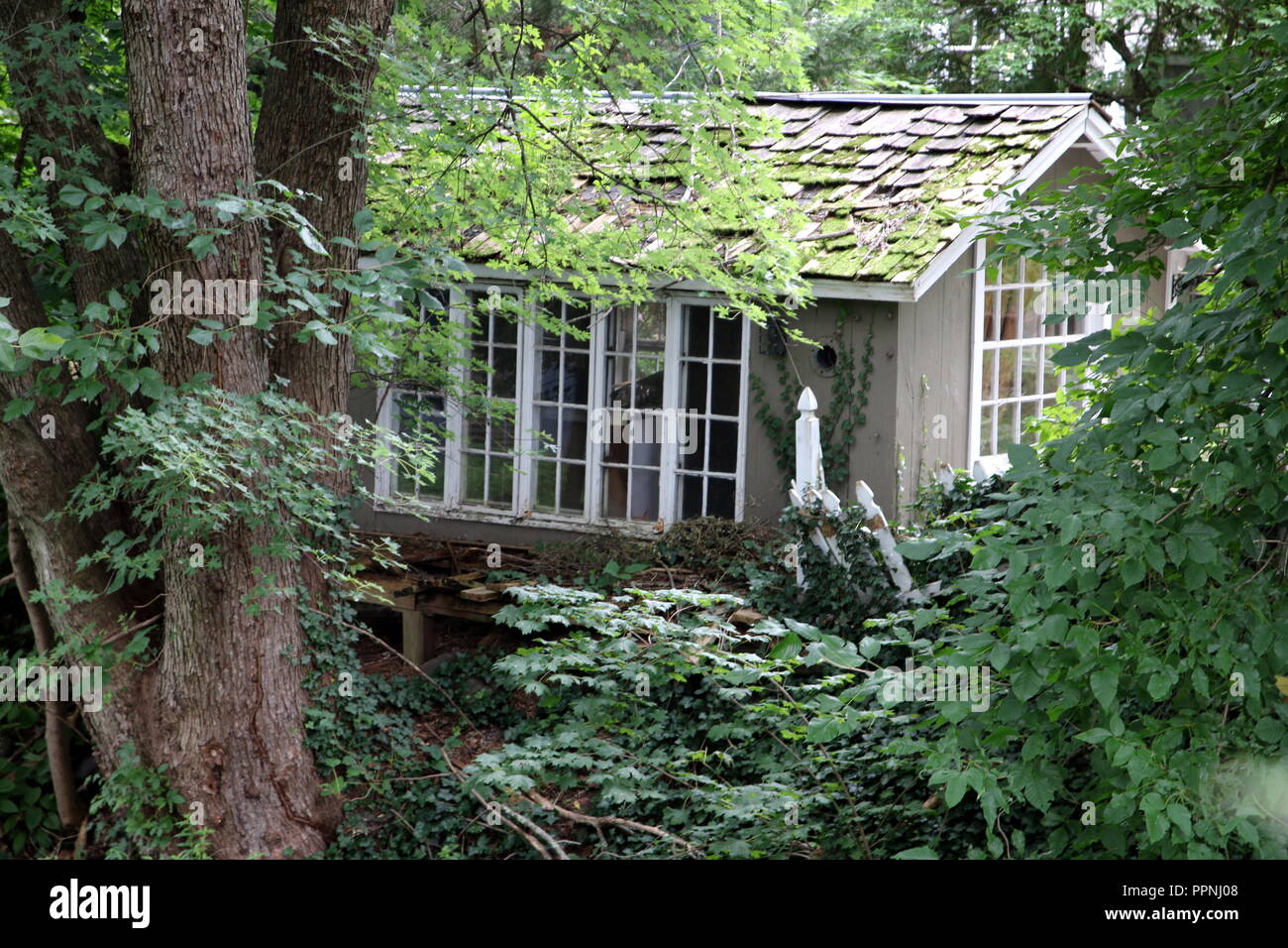 Dieses Haus befindet sich in den Wäldern versteckt. Stockfoto