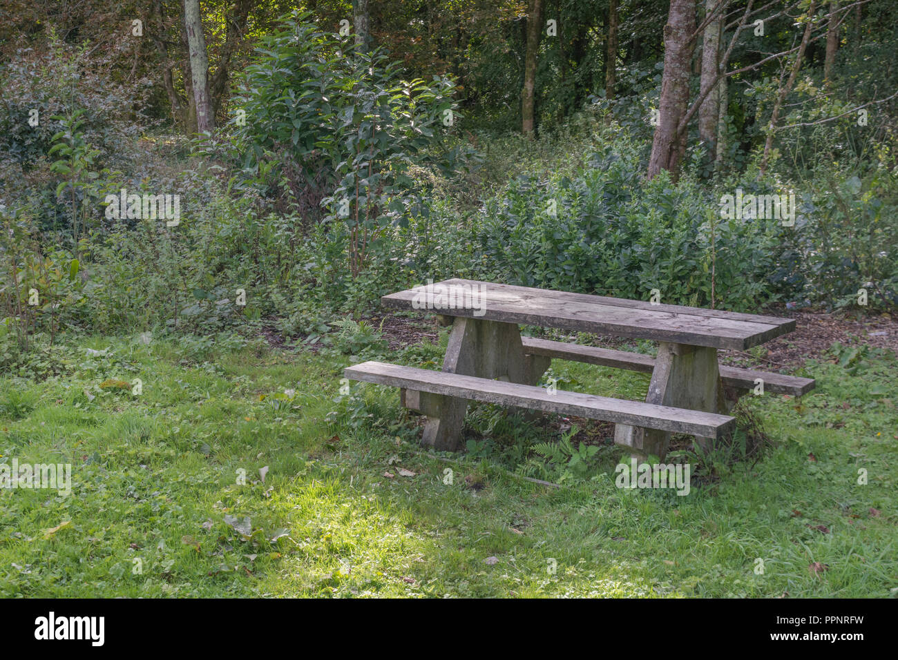 Öffentliche / gemeinschaftliche Picknickbank in Herbstsonne. Für covid Park Bank Wiedersehensfeiern. Stockfoto
