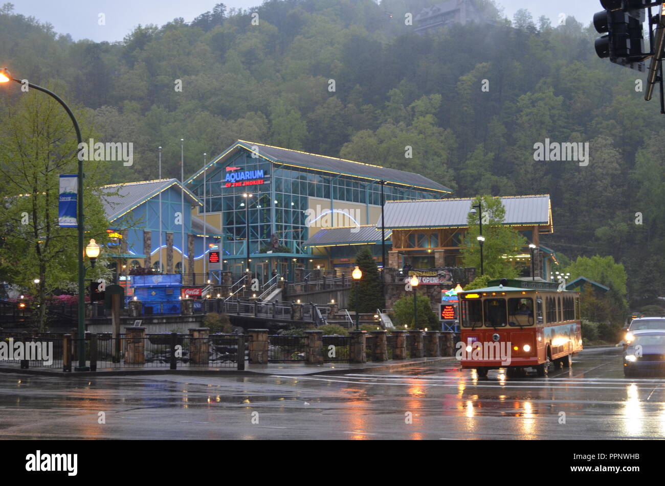 Ripleys Aquarium der Smokeys Stockfoto