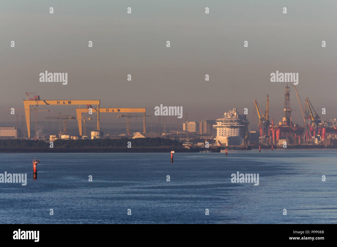 Am frühen Morgen nebligen Blick auf Belfast Docks, Kreuzfahrtschiff und Harland & Wolff Schiffbau Krane, Samson und Goliath. Belfast Lough, N. Irland. Stockfoto