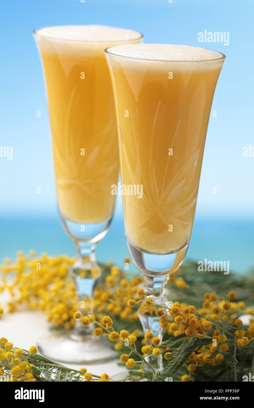 Zwei Gläser von Mimosa Cocktail gegen Blumen Stockfoto