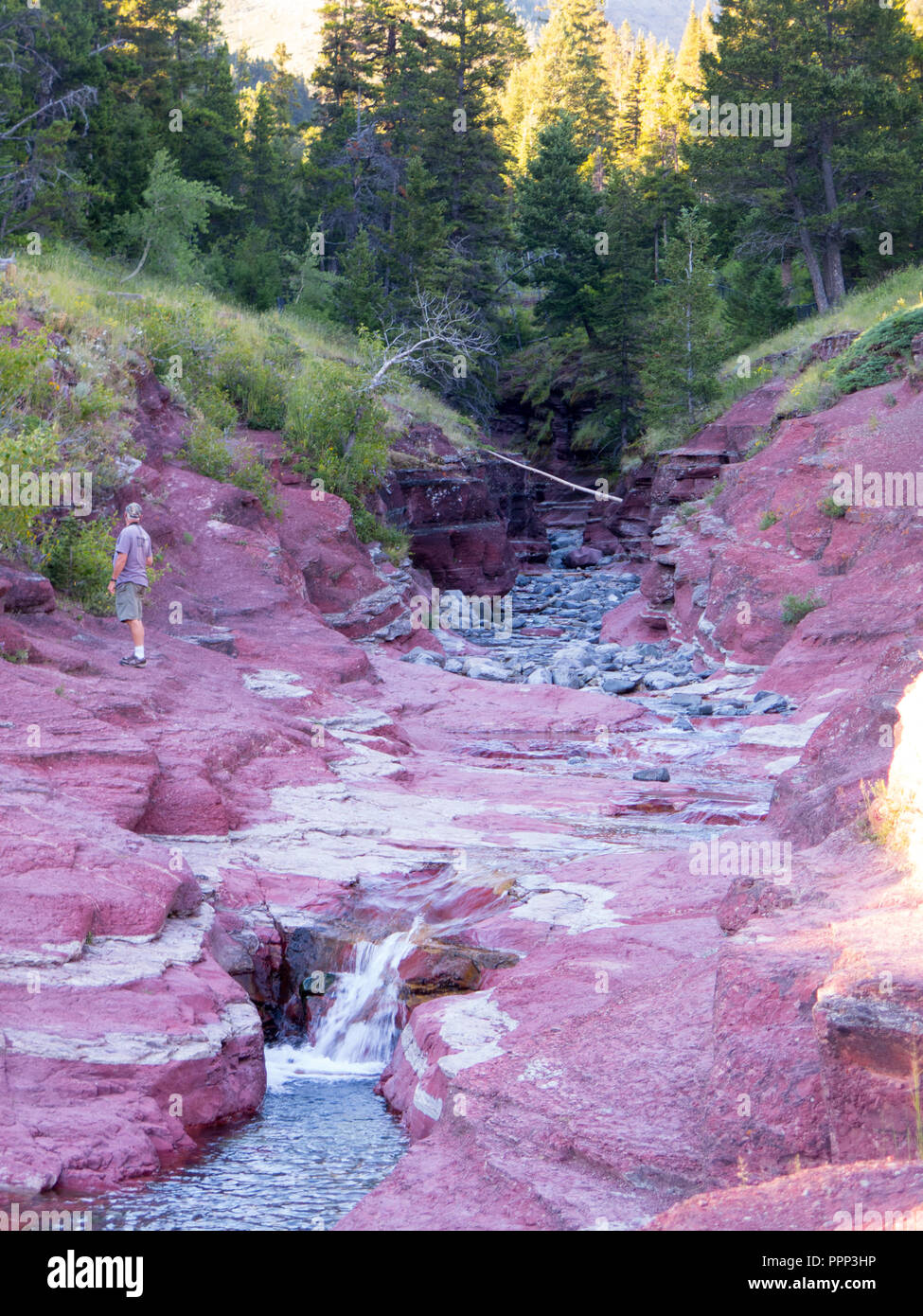 Red Rock Canyon, Waterton Lakes National Park, Alberta, Kanada Stockfoto