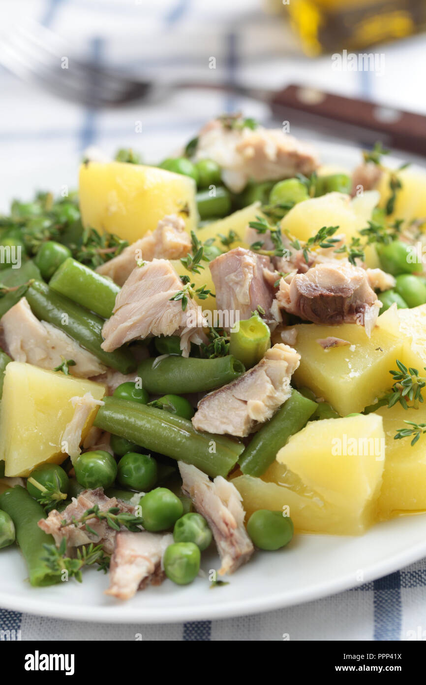 Salat mit Thunfisch, gekochte Kartoffeln, grüne Bohnen, Erbsen, und Thymian Stockfoto