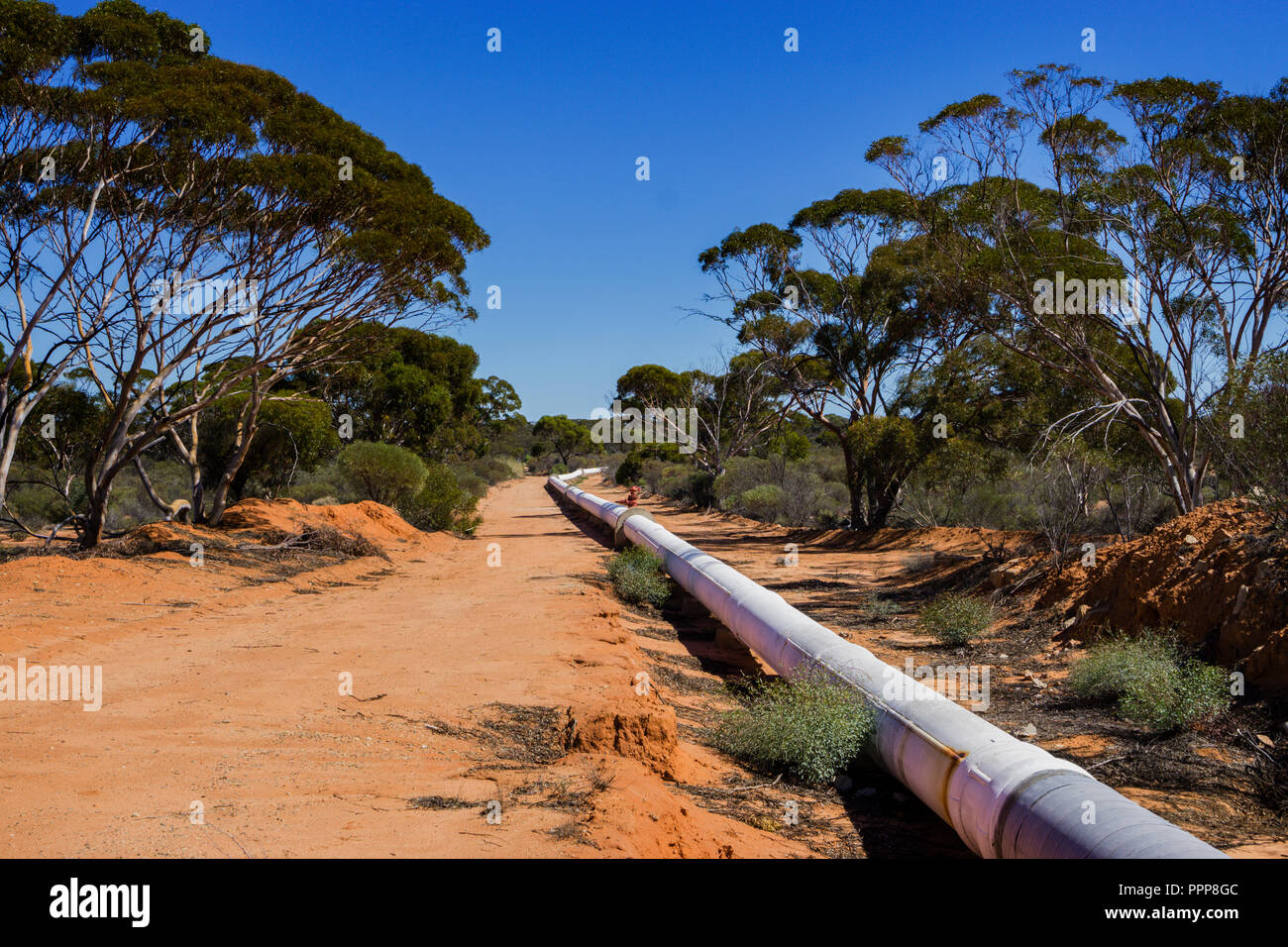 Die Wasserleitung von Perth nach Kalgoorlie in der Nähe der Stadt Merredin Western Australia Stockfoto