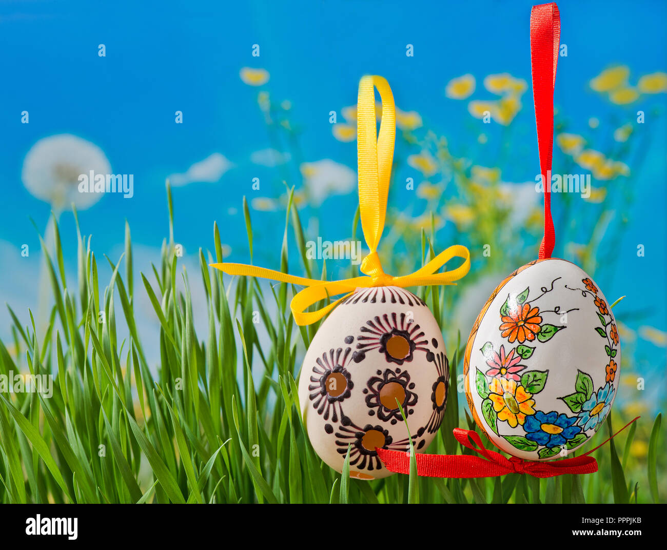 Ostereier auf der Wiese im Frühling. Stockfoto