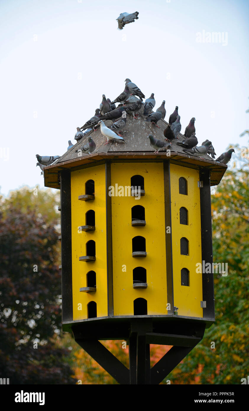 Taubenhaus, Stadtgarten, Dortmund, Nordrhein-Westfalen, Deutschland Stockfoto