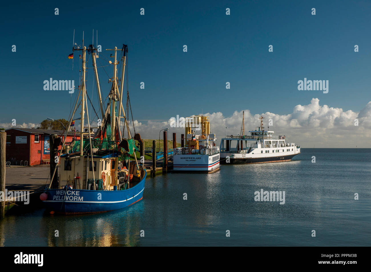 Fischerboote, Pellworm, Nordfriesland, Schleswig-Holstein, Deutschland Stockfoto