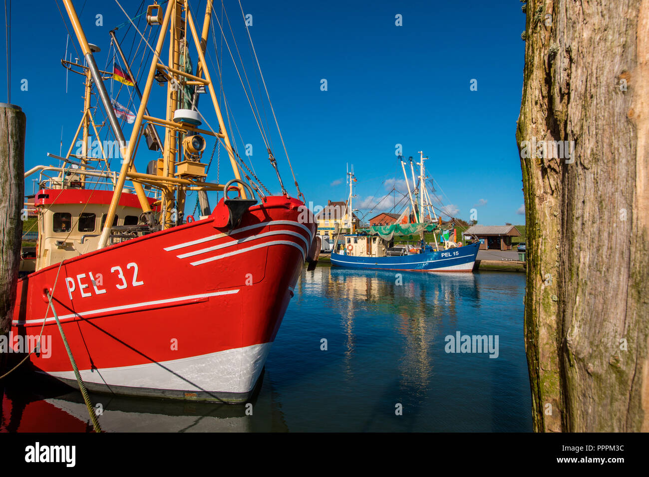 Fischerboote, Pellworm, Nordfriesland, Schleswig-Holstein, Deutschland Stockfoto