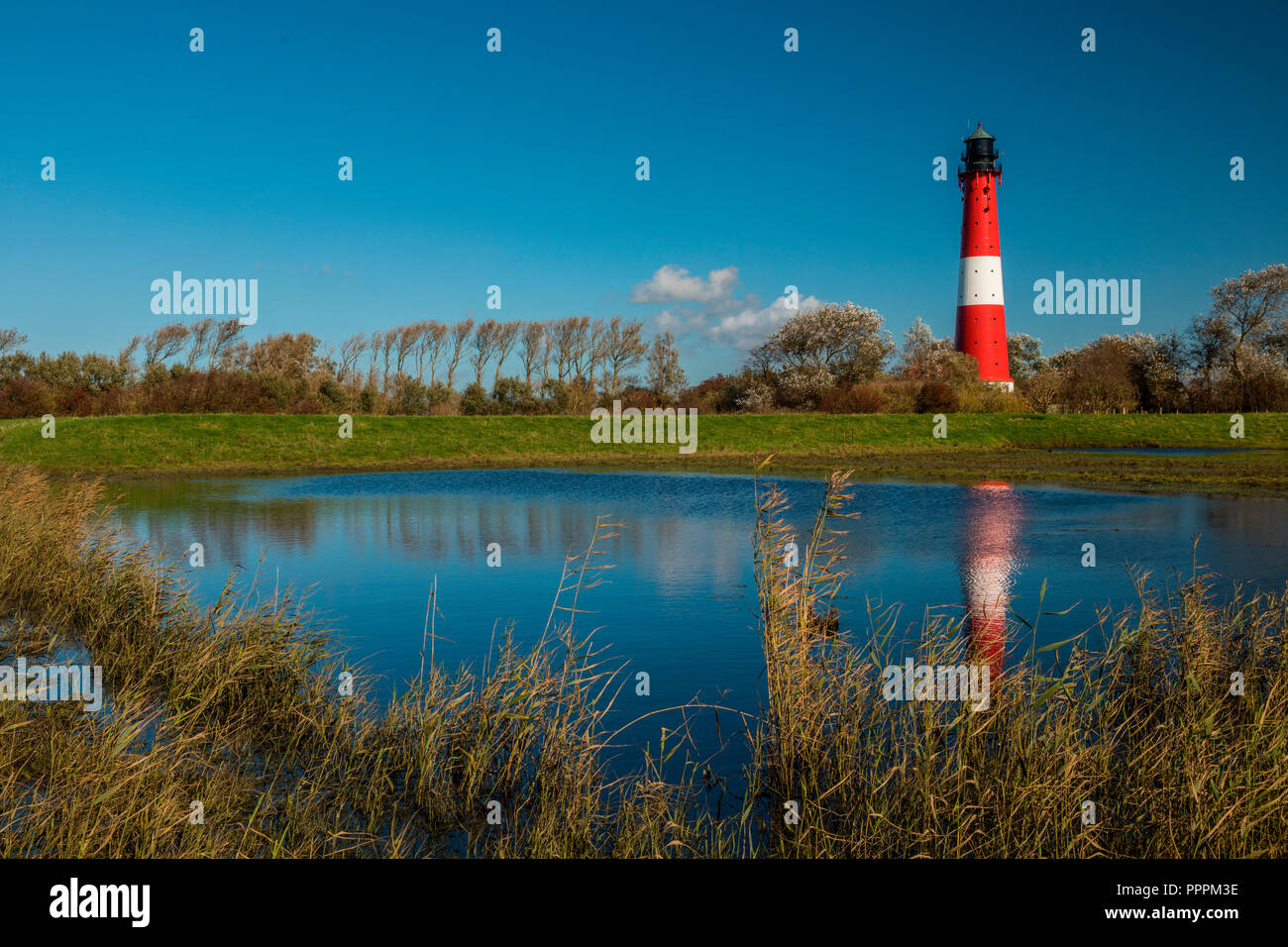 Leuchtturm Pellworm, Nordfriesland, Schleswig-Holstein, Deutschland Stockfoto