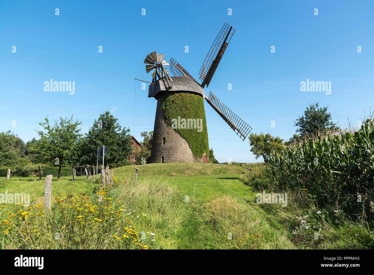 Wind Mill, Seelenfeld, Petershagen, Minden-Luebbecke, Ostwestfalen-Lippe, Nordrhein-Westfalen, Deutschland Stockfoto