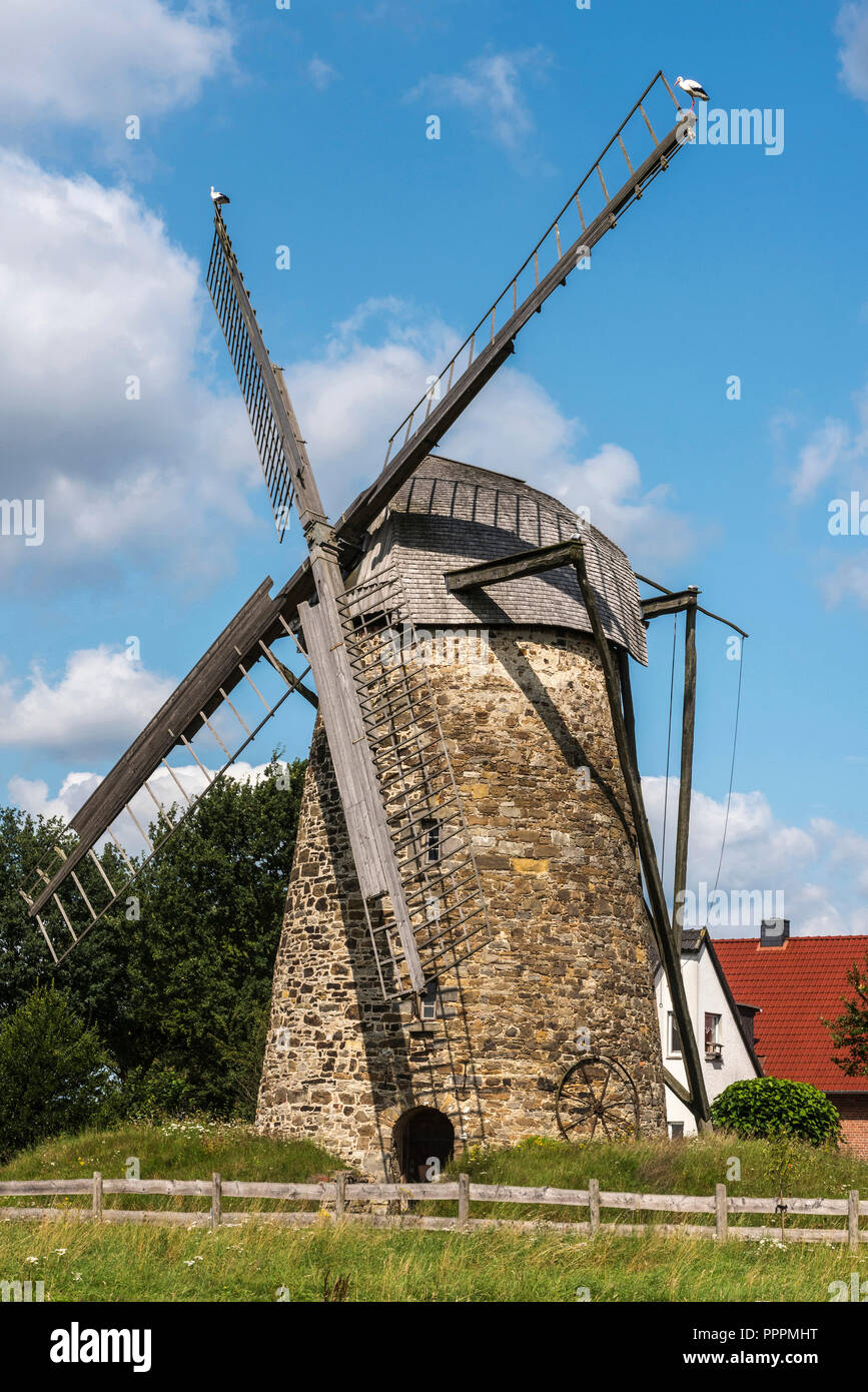 Wind Mill, Todtenhausen, Minden-Luebbecke, Ostwestfalen-Lippe, Nordrhein-Westfalen, Deutschland Stockfoto