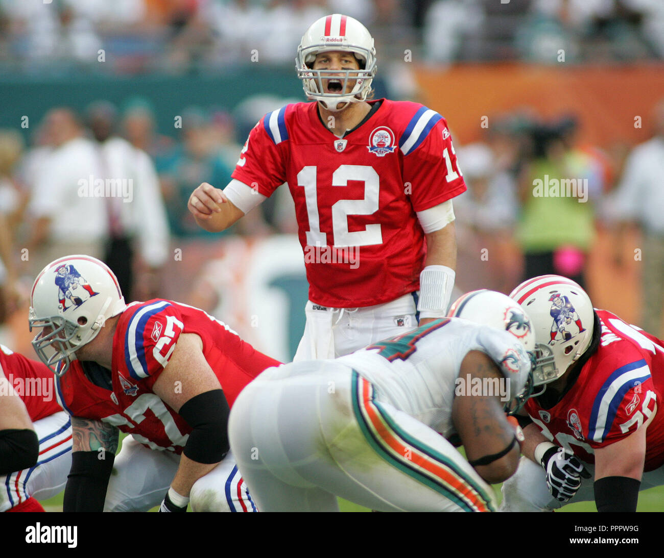 New England Patriots Quarterback Tom Brady call ein akustisches gegen die Miami Dolphins an landshark Stadium in Miami am 6. Dezember 2009. Stockfoto