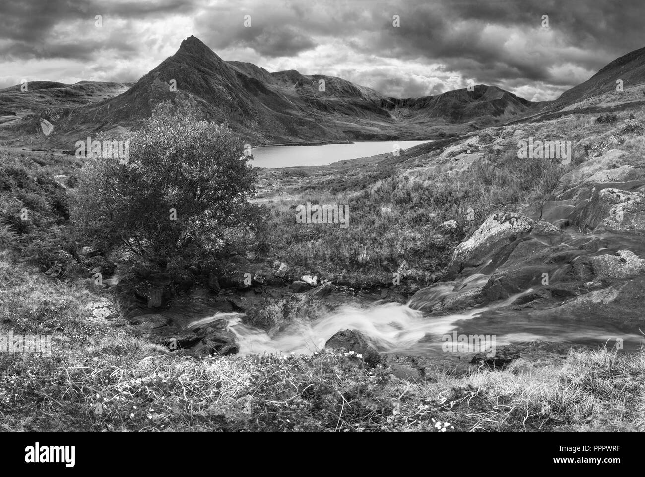 Schwarze und weiße Schöne Panorama Landschaft Bild der Strom fließt über die Felsen in der Nähe von Llyn Ogwen in Snowdonia während eary Herbst mit Tryfan in backgro Stockfoto