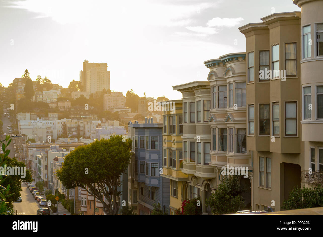 San Francisco liegt an der Westküste der USA im Bundesstaat Kalifornien Stockfoto