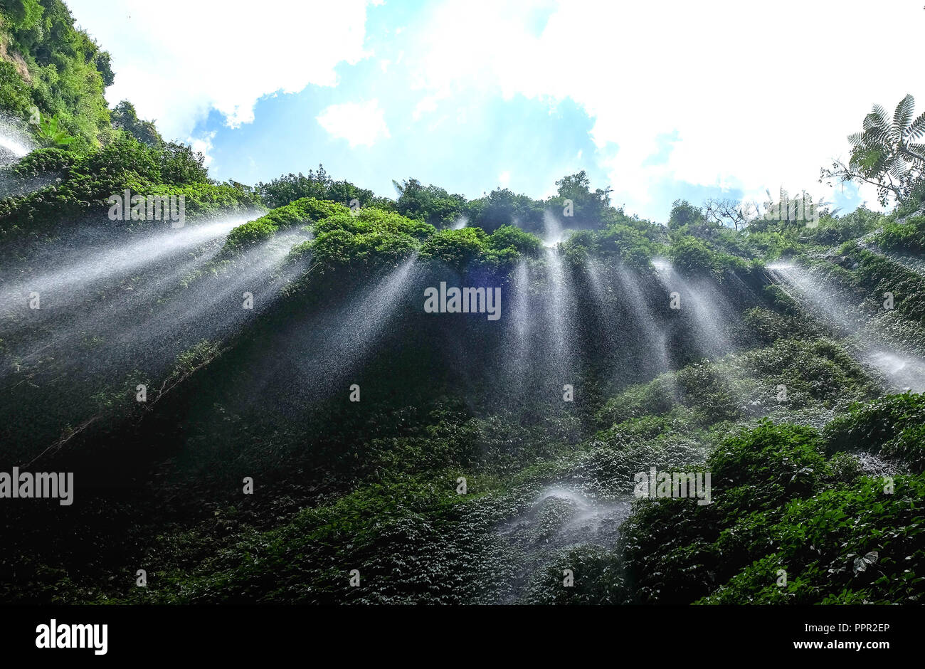 Die schöne Madakaripura Wasserfall, natürlichen Blick von Ost Java, Indonesien. Es ist der größte Wasserfall in Indonesien. Stockfoto
