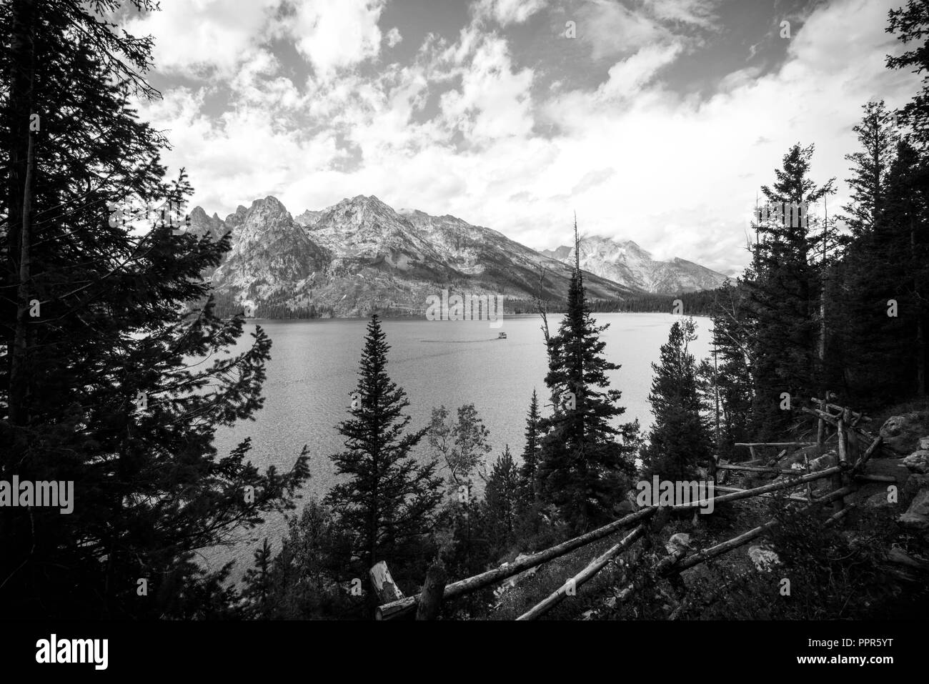 Landschaft im Yellowstone & Jackson Hole Stockfoto