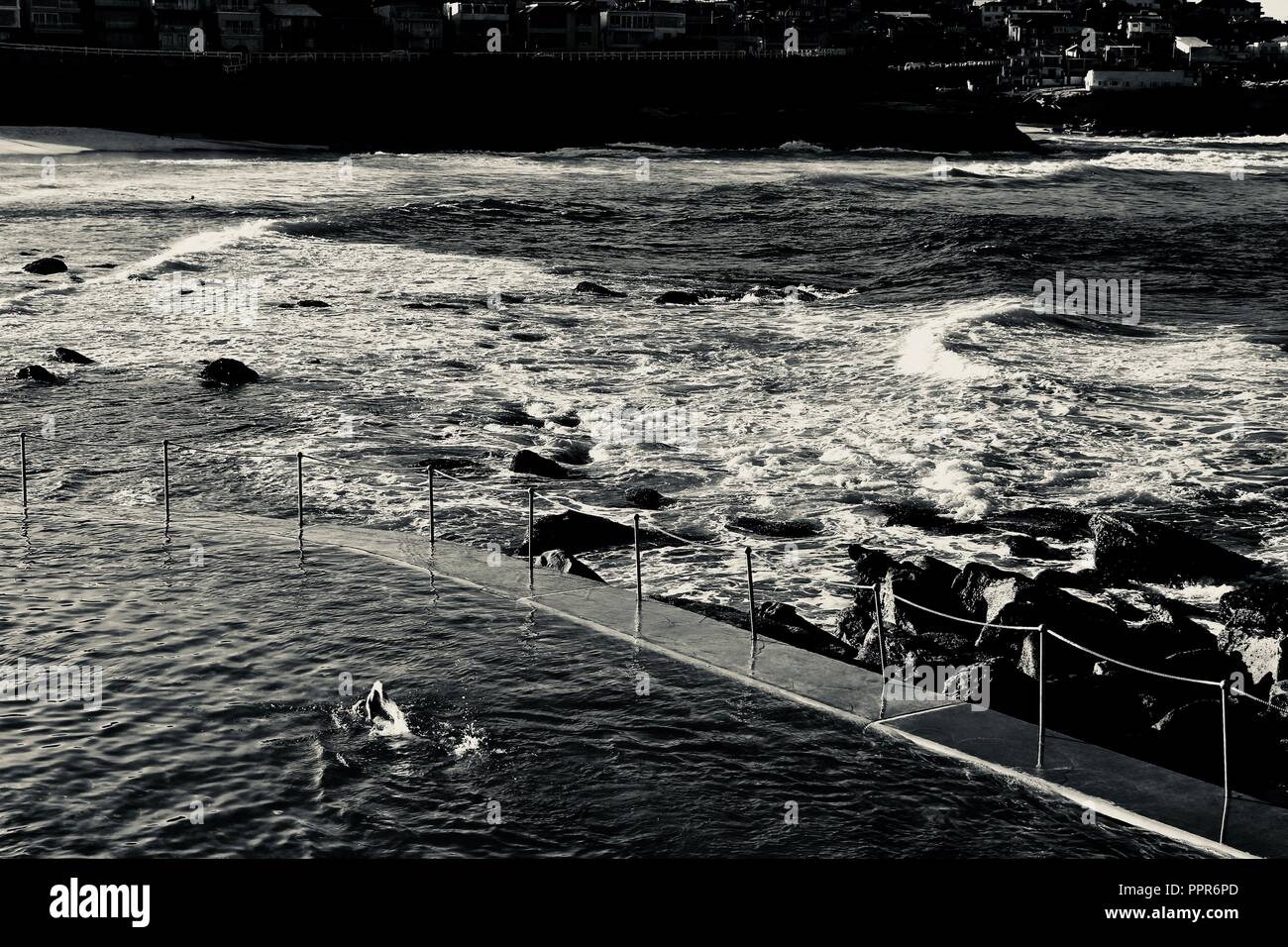 Am frühen Morgen Schwimmen in Eisberg Pool, Bondi Beach, Sydney. Stockfoto
