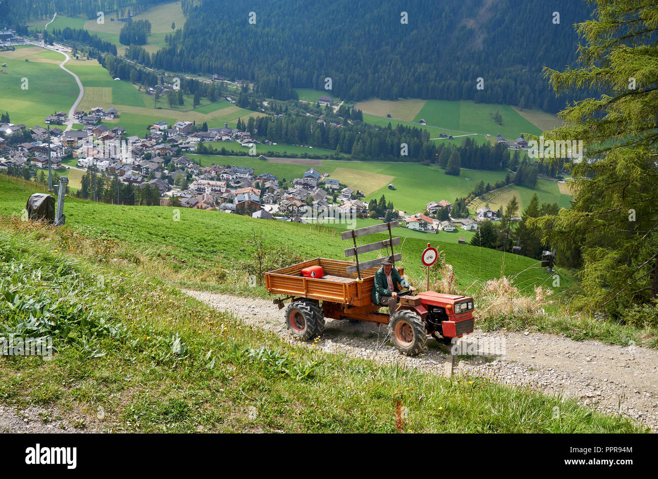 Landwirt einen Schlepper/Anhänger auf einer Spur durch Wiesen oberhalb St. Veit/Sexten Moos (S. Vito/Sexten Moos), Sextner Dolomiten, Italien Stockfoto