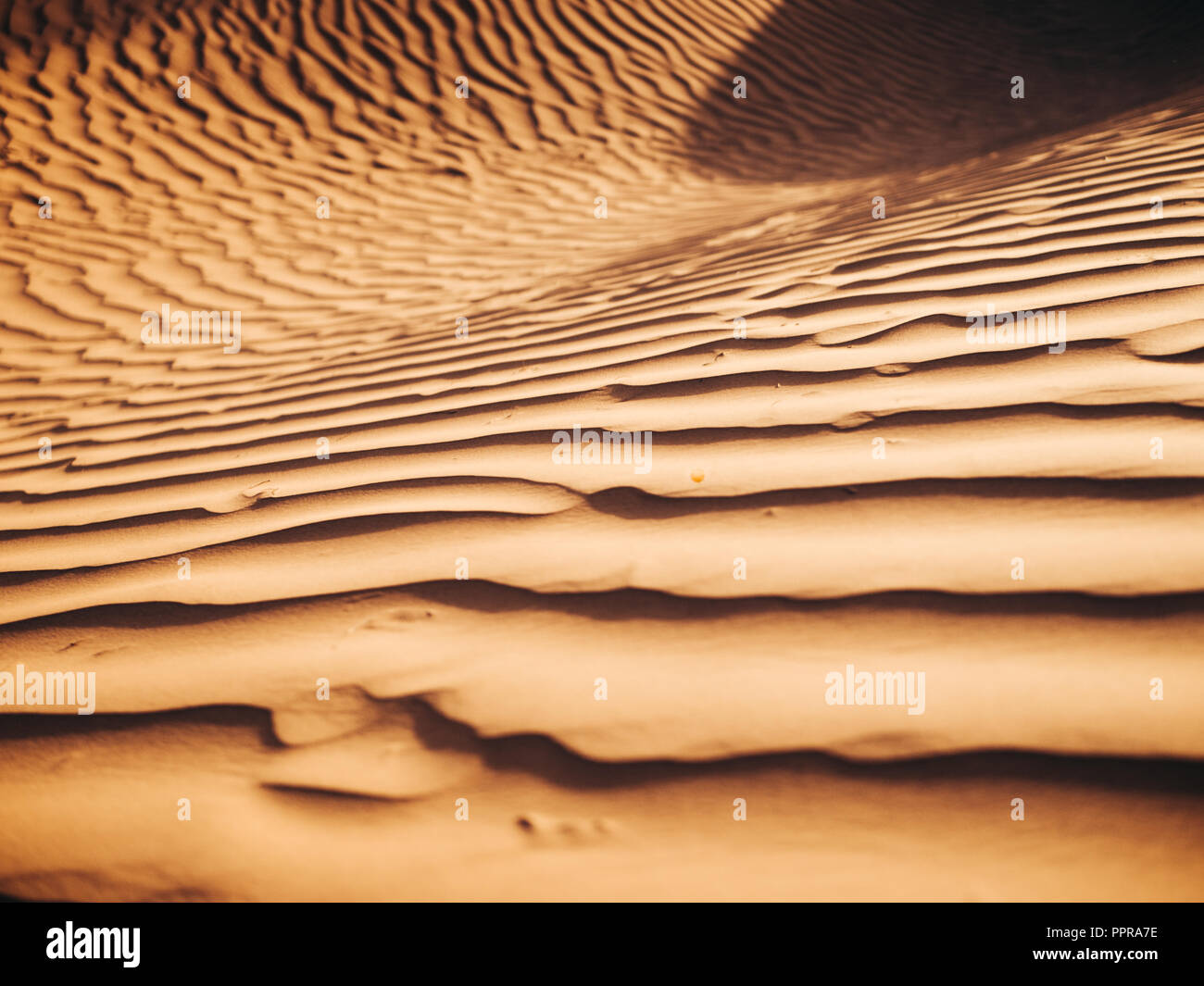 Nahaufnahme einer Sanddüne in der marokkanischen Sahara. Stockfoto