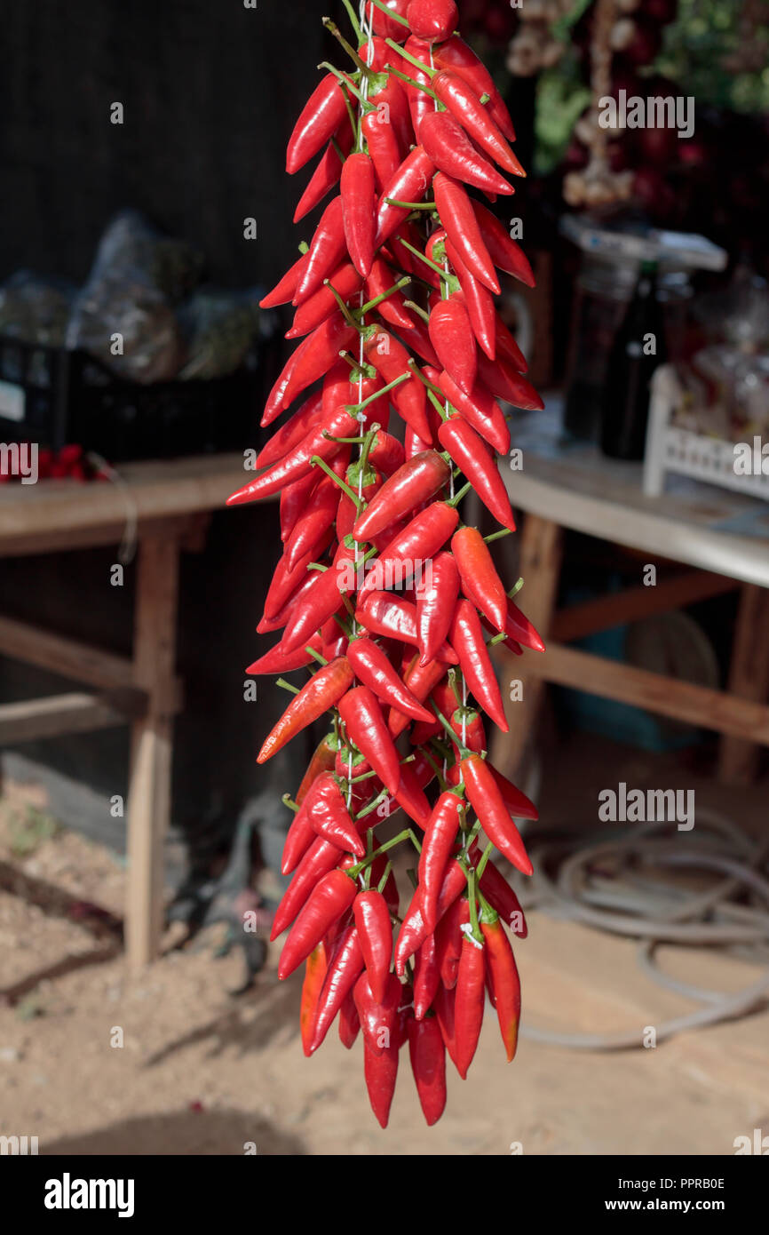 Italienische Chili peppers hängen für Verkauf. Flache konzentrieren. Stockfoto