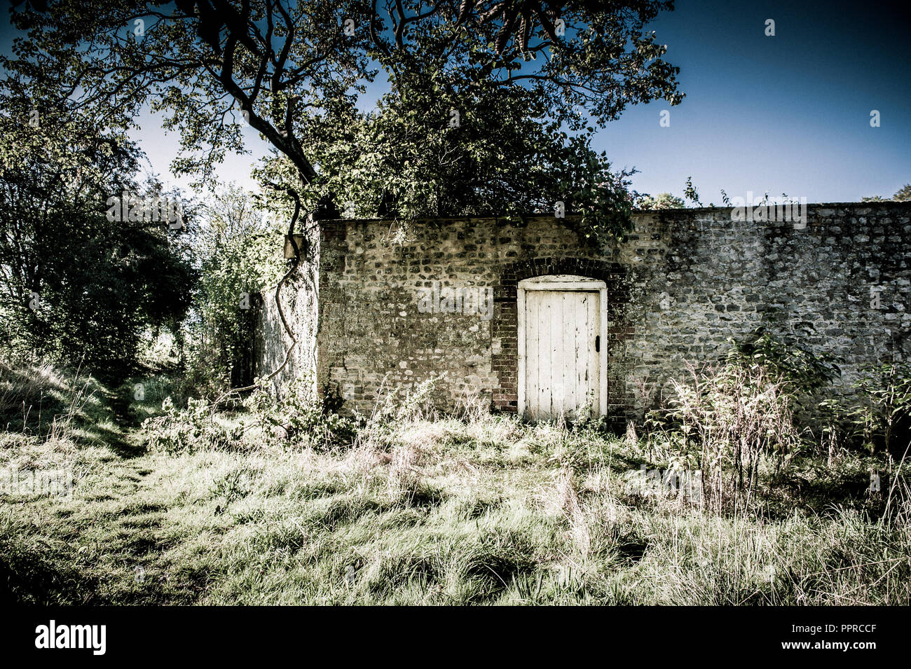 Eine Tür in einer alten Mauer durch Bäume, Gras und Büschen im Sutton Veny, Wiltshire, UK umgeben. Stockfoto