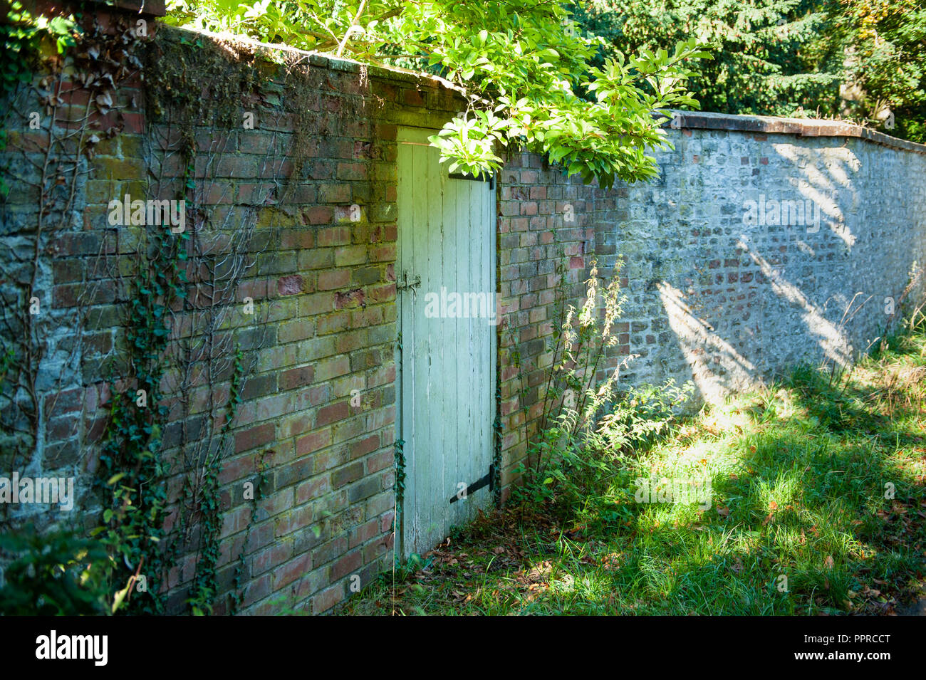 Eine Tür in einer alten Mauer durch Bäume und Büsche am Sutton Veny, Wiltshire, UK umgeben. Stockfoto