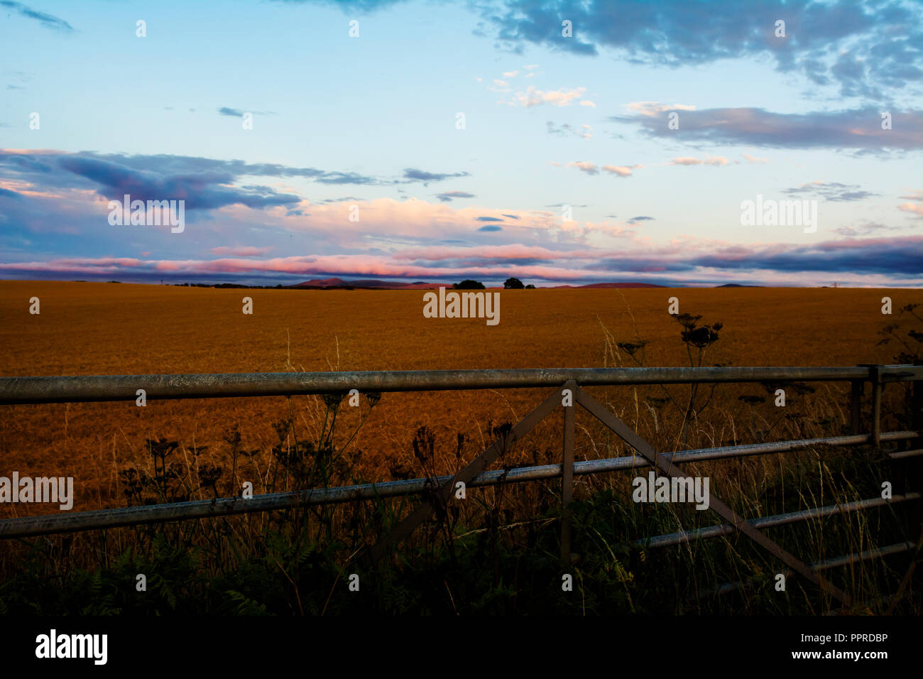 Landschaft in West Lothian Schottland Stockfoto