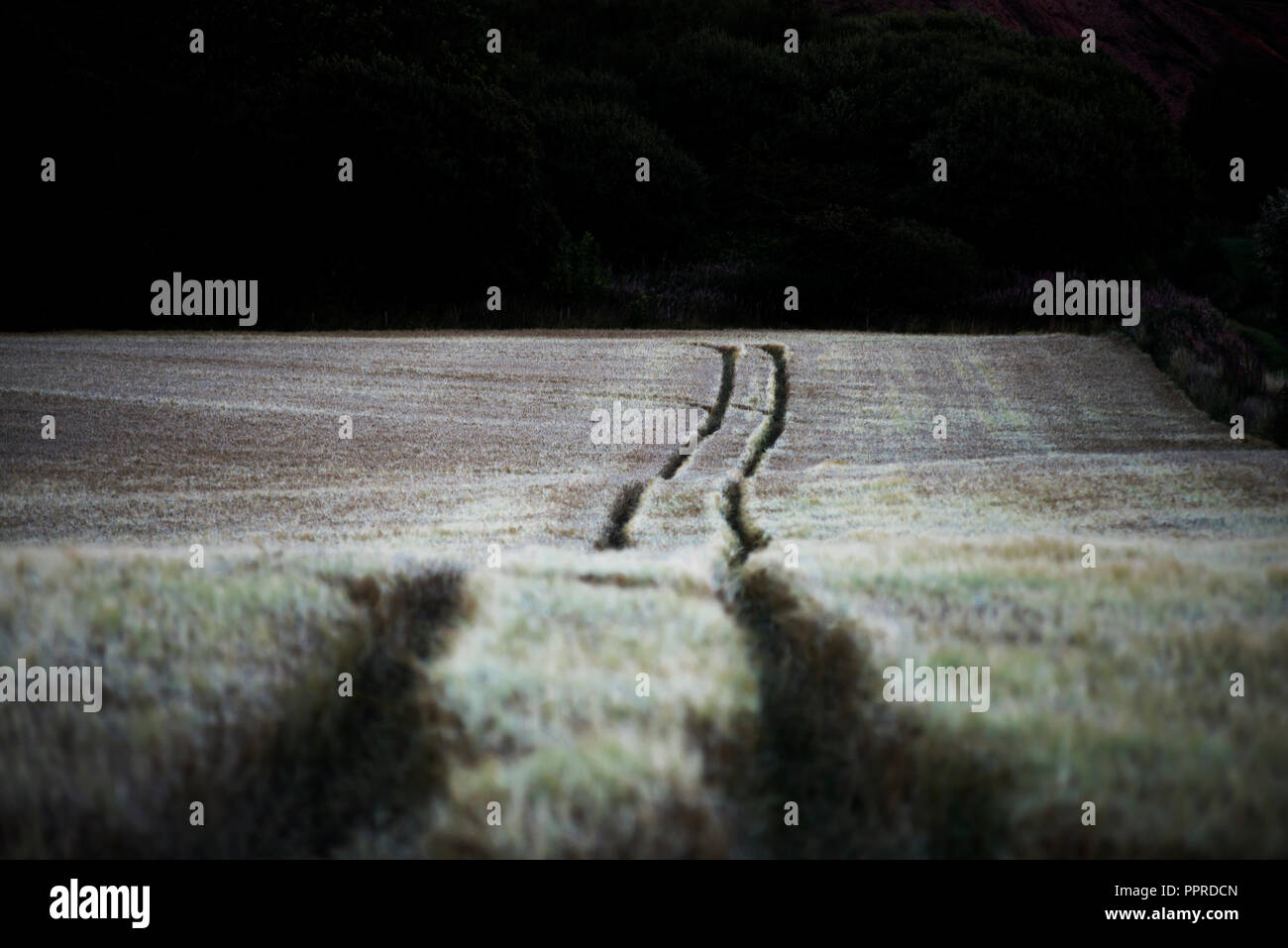 Landschaft in West Lothian Schottland Stockfoto