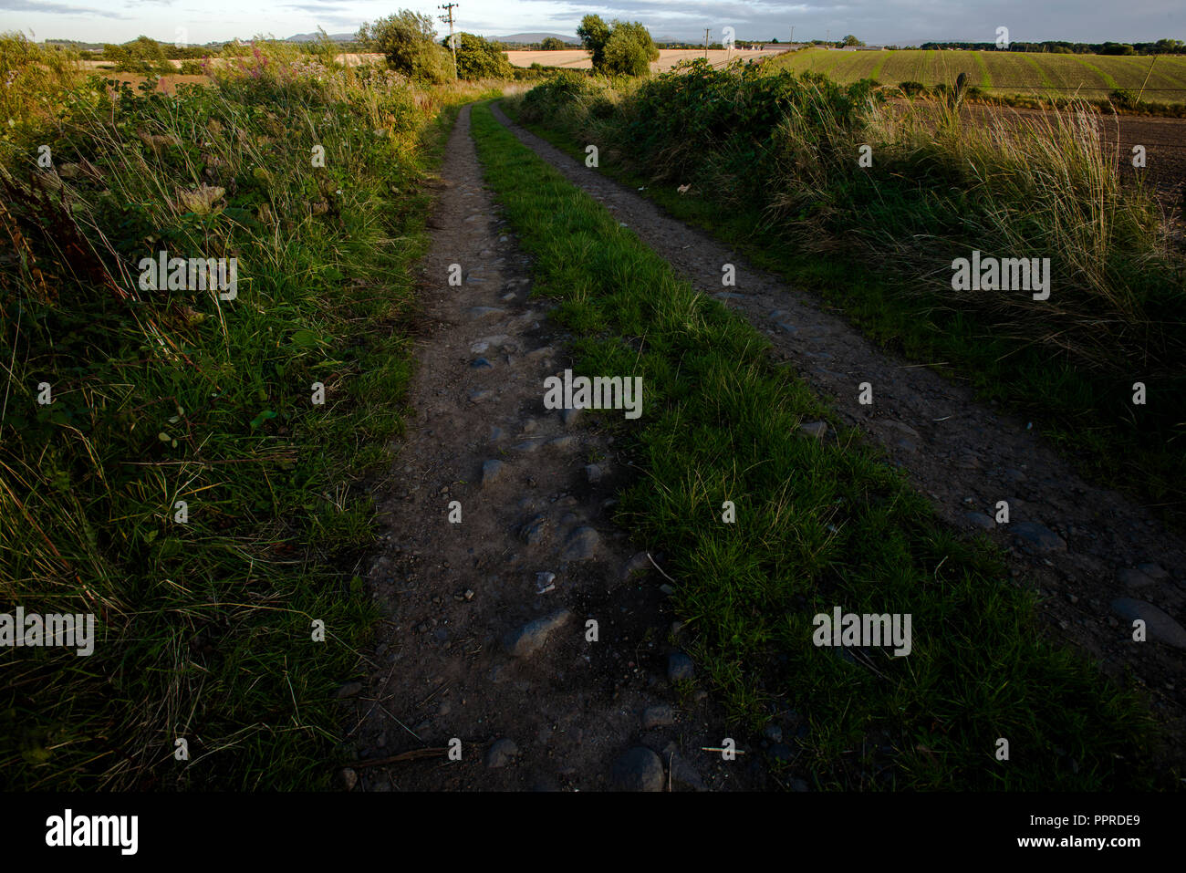 Landschaft in West Lothian Schottland Stockfoto