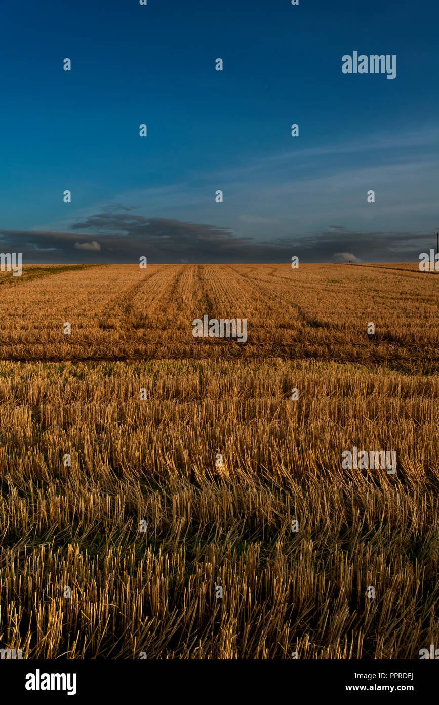 Landschaft in West Lothian Schottland Stockfoto