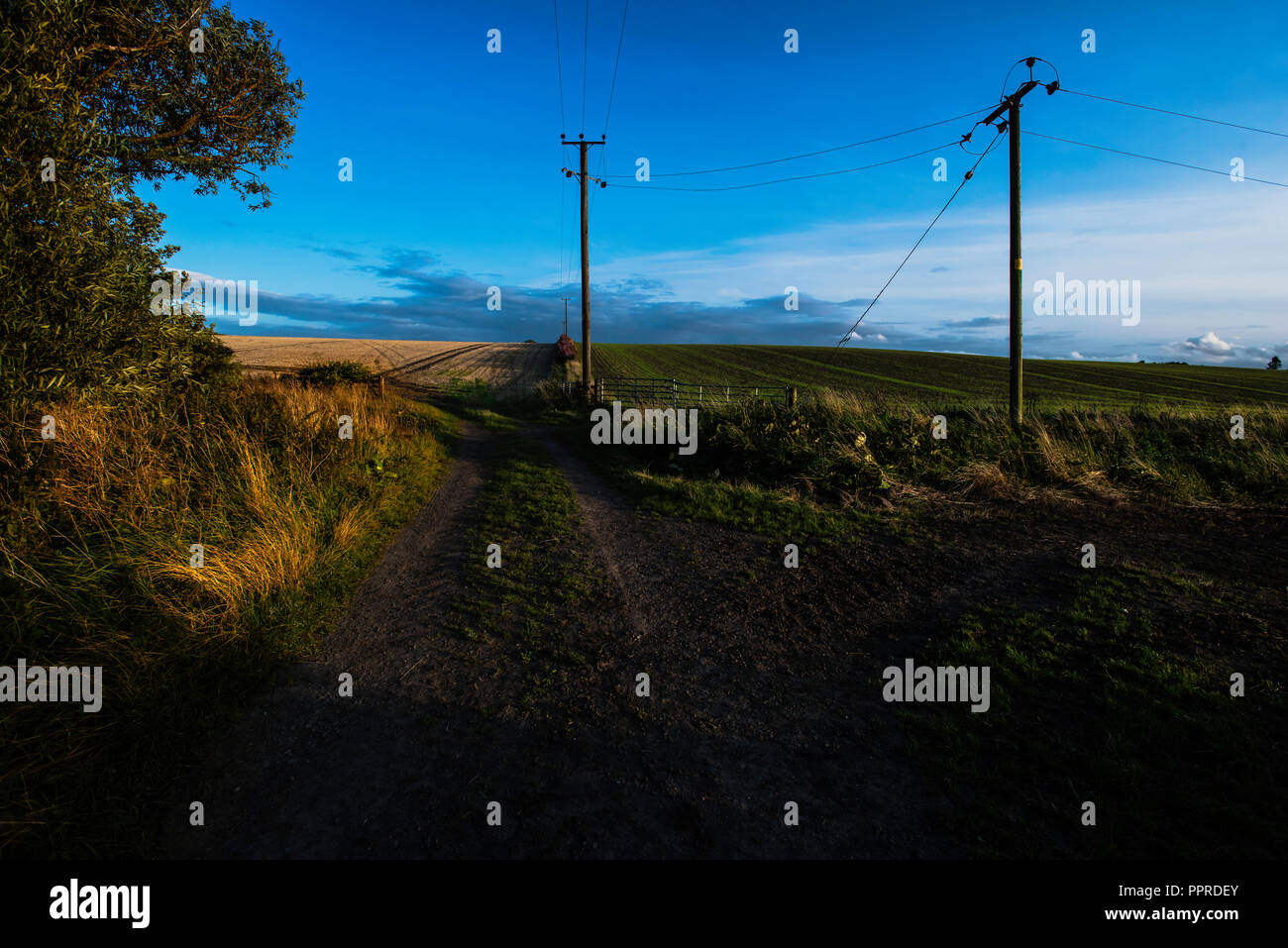 Landschaft in West Lothian Schottland Stockfoto