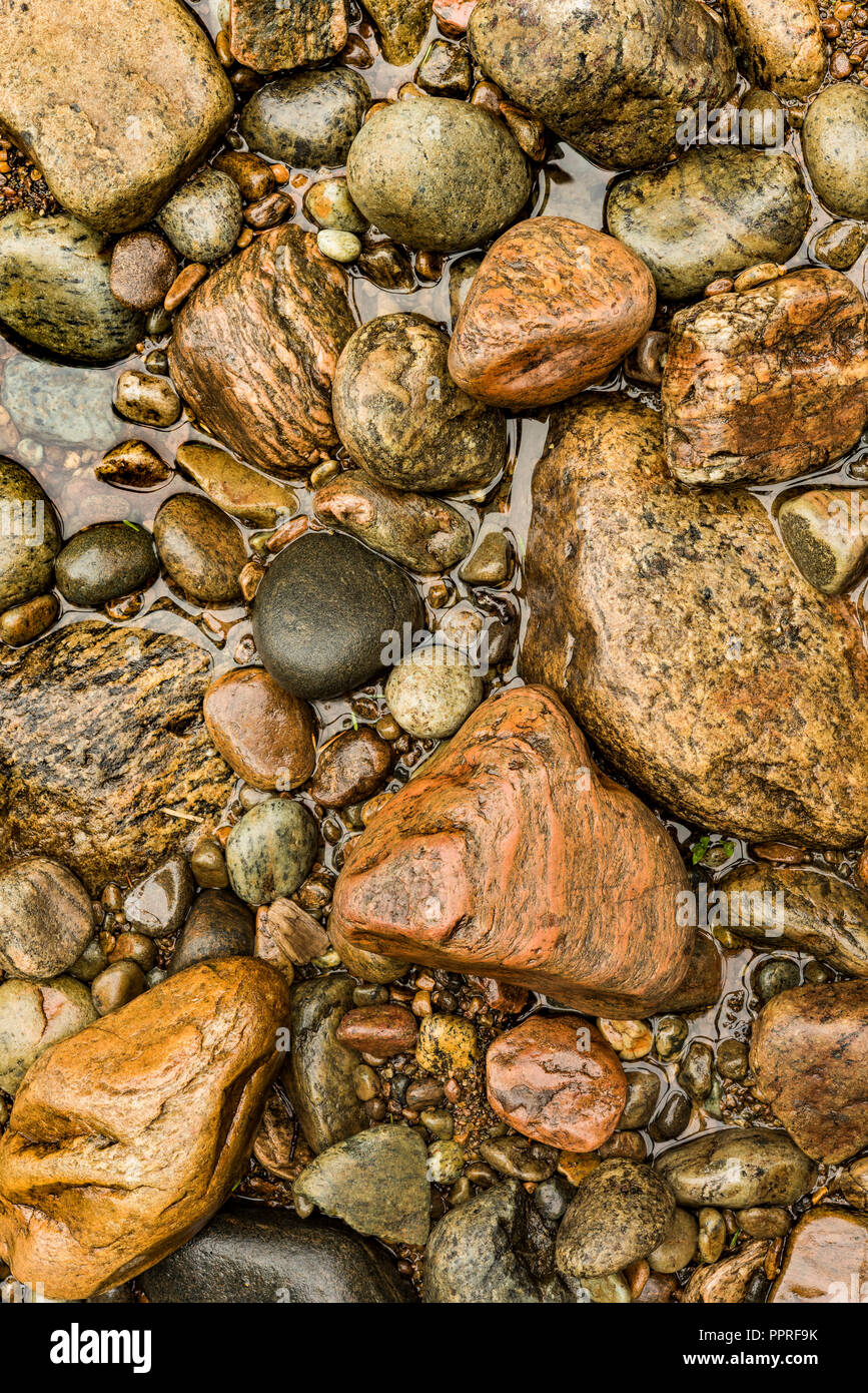 Felsen entlang der Ufer des Flusses Sacandaga, Adirondack Mountains, Hamilton Co., NY Stockfoto