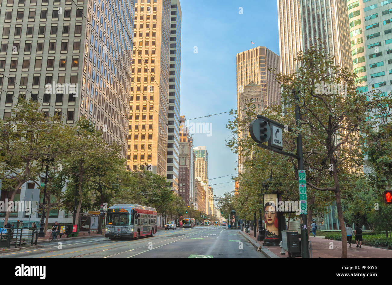 Muni-Bus auf der Market Street in San Francisco, Kalifornien, USA, an einem frühen Sonntag Morgen. Stockfoto