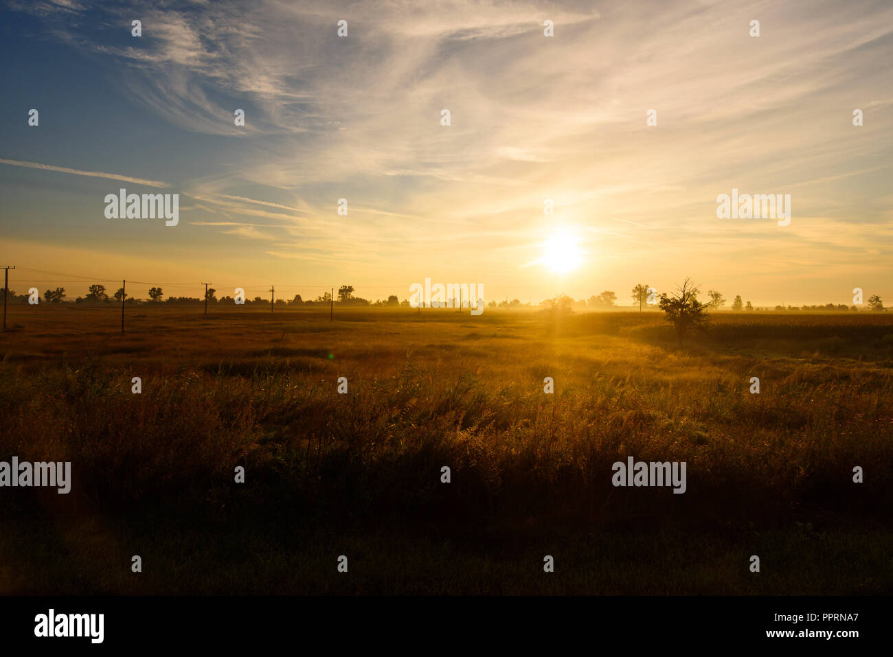 Schönen Sonnenaufgang über einem goldenen Feld in der Landschaft Stockfoto