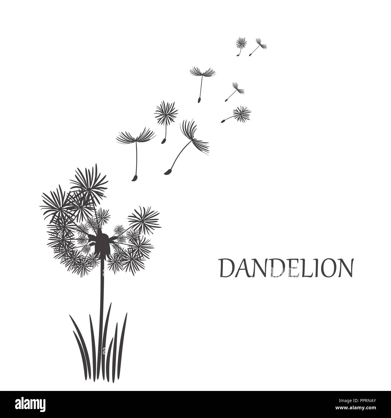 Löwenzahn Hintergrund Vector Illustration Stock Vektor
