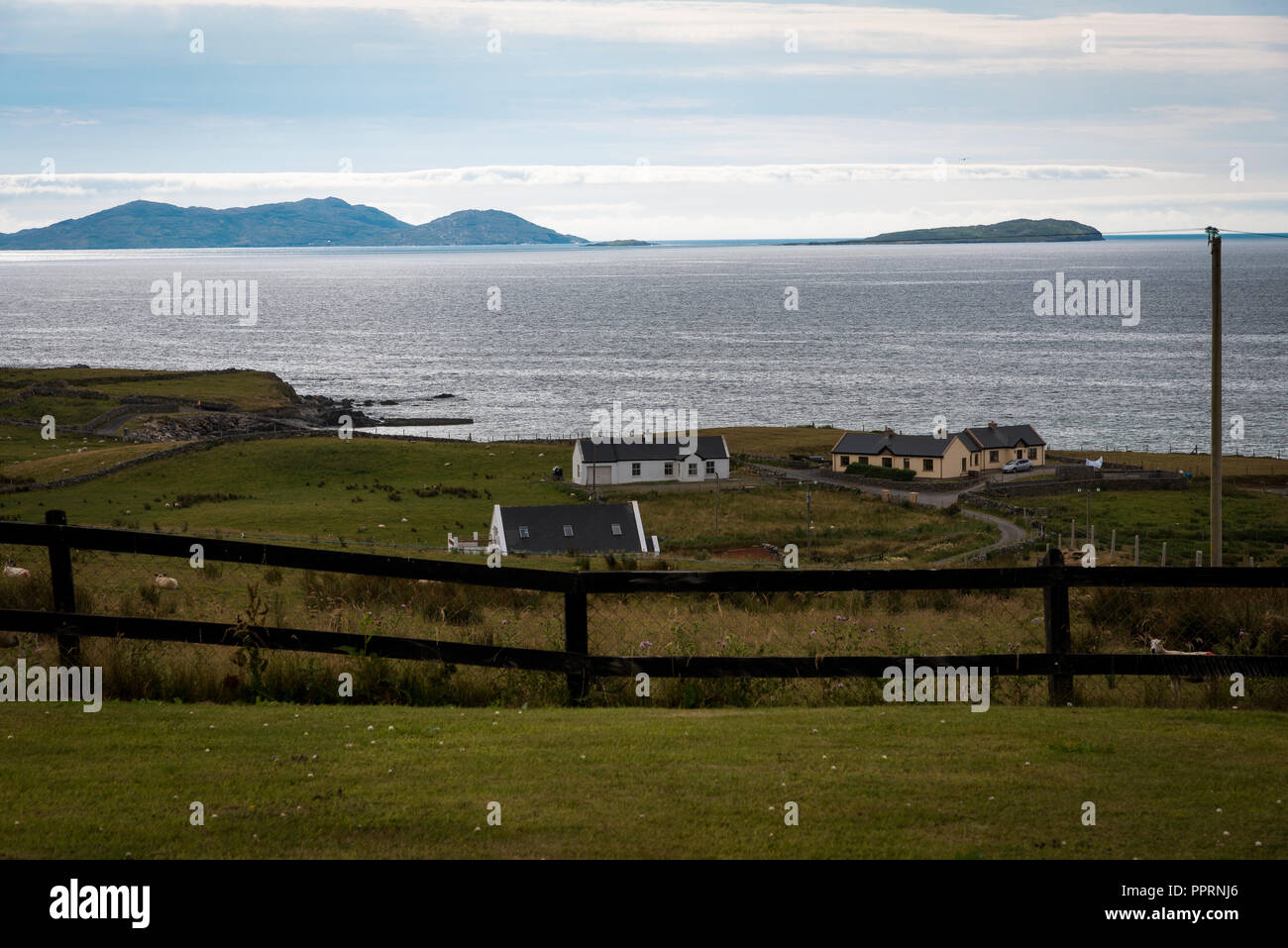 Bauernhäuser und Schafe an der Küste der Irischen See. Stockfoto