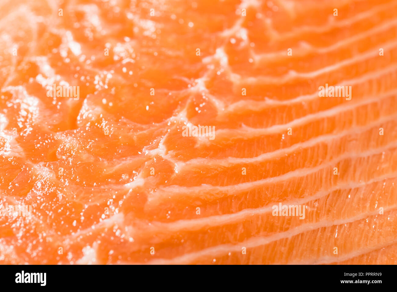 Raw Organic Atlantischen Lachs filet bereit zu Kochen Stockfoto