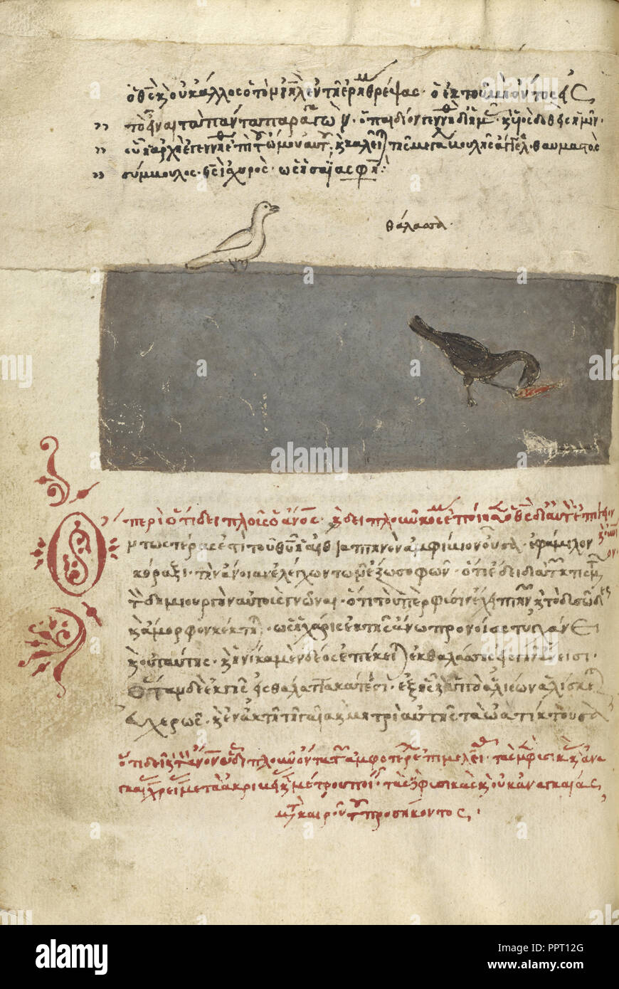 Einen Vogel und einen Vogel fängt einen Fisch; Kreta, Griechenland; 1510 - 1520; Stift und rote Leitung und eisengallustinte Tinten, Aquarell, Tempera Farben Stockfoto