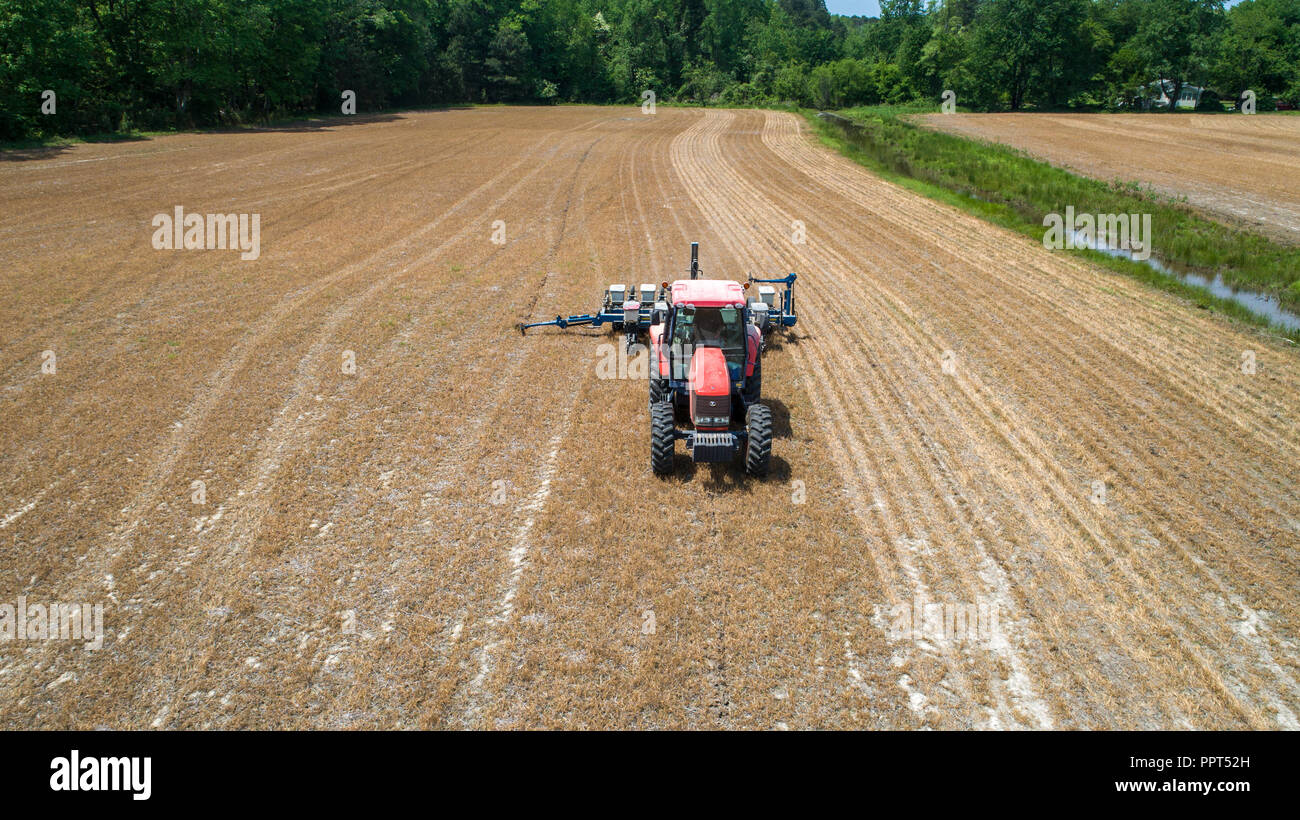 Keine bis Mais anpflanzen auf einem Bauernhof in der Nähe von Newburg, Maryland Stockfoto