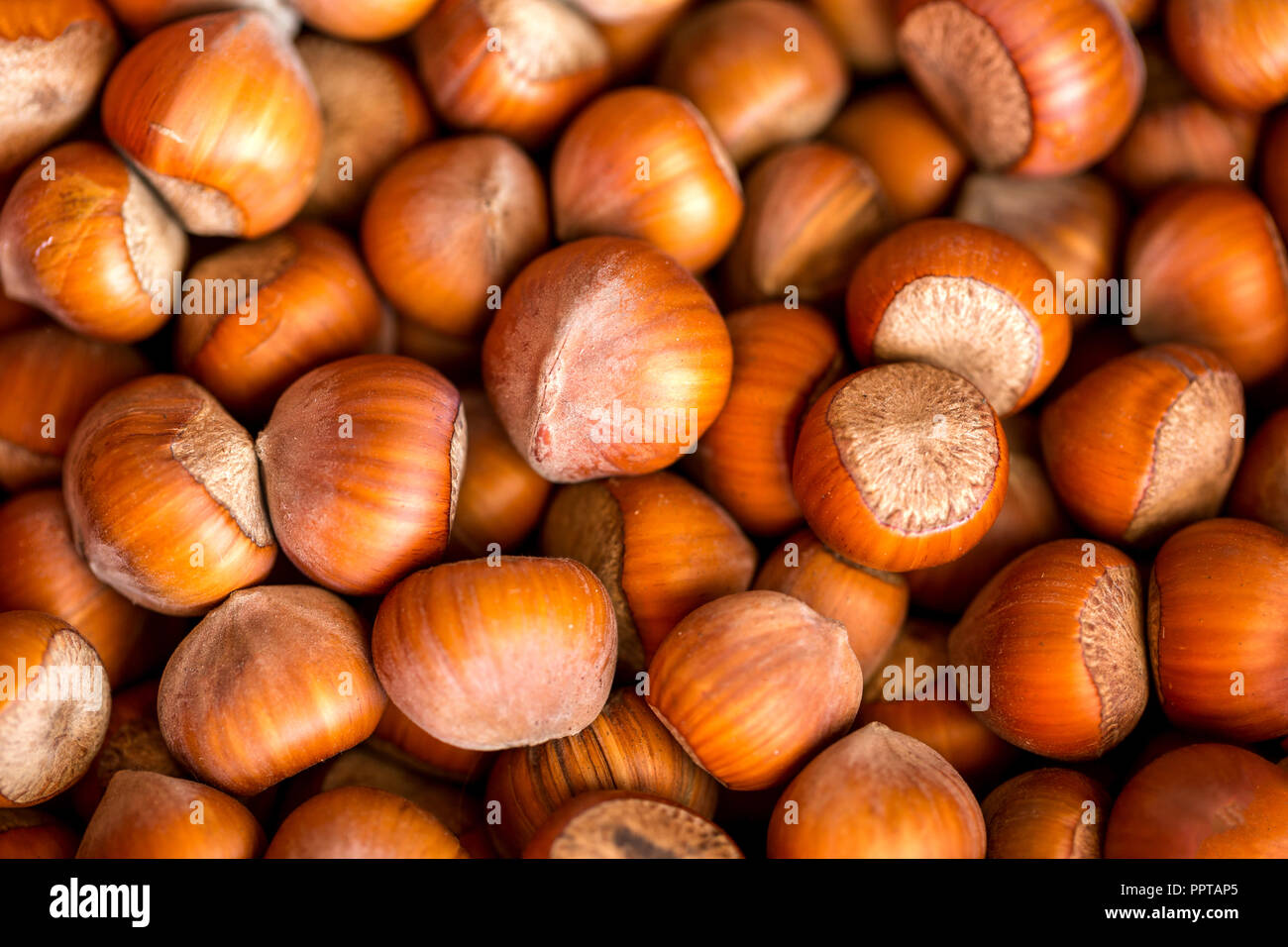 Die Textur der Haselnuss, die Aussicht von oben. Stockfoto