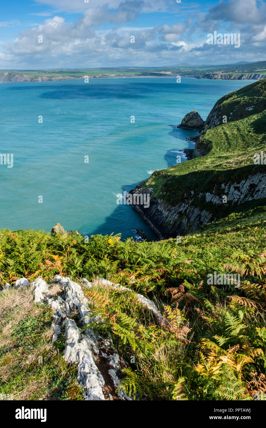 Auf der Suche Richtung Newport von Dinas Kopf, in der Nähe von Fishguard, Pembrokeshire, Wales Stockfoto